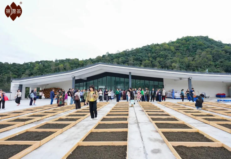 ScreenShot_2025-10-20_105125_847 ScreenShot_2025-10-20_105125_847